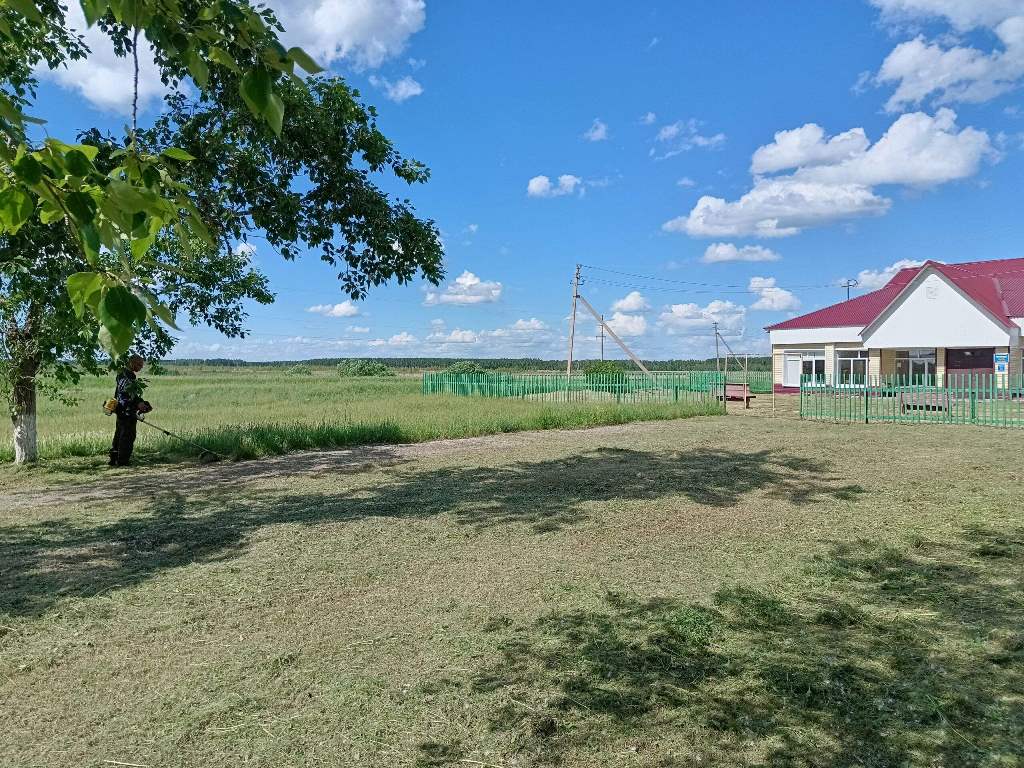 Благоустройство территорий в сельских учреждениях культуры БУК "Тюкалинская ЦКС"