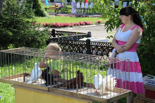 image_102